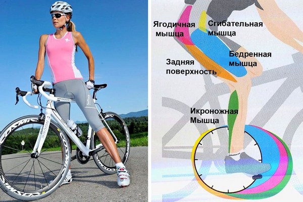 Езда на велосипеде для похудения насколько эффективно катание и как организовать тренировку правильно?