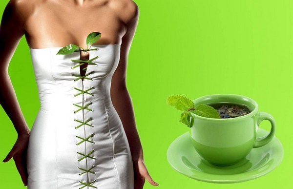 Как пить зелёный чай для похудения
