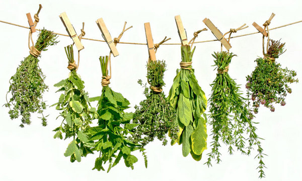 Брендовые и домашние травяные чаи для похудения рейтинги лучших составы и рецепты
