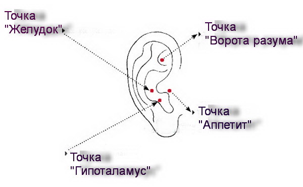Точки на ушах, влияющие на похудение в акупунктуре