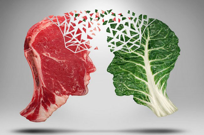 Основные отличия между вегетарианцами и веганами питание образ жизни моральноэтические принципы