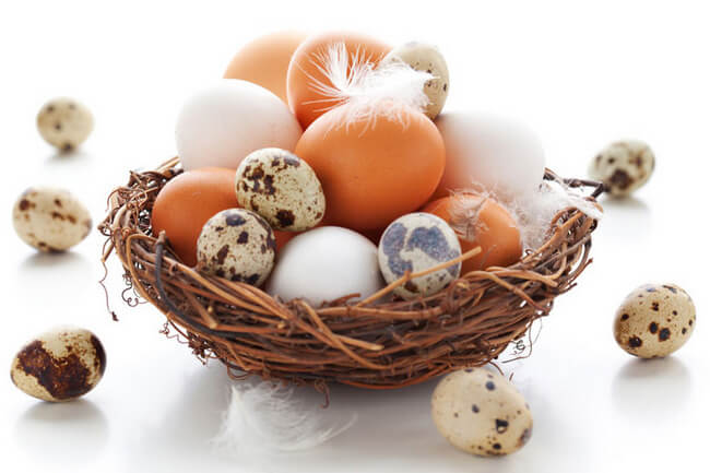 Яйца для похудения сырые или варёные куриные или перепелиные на завтрак или на ужин — делаем выбор