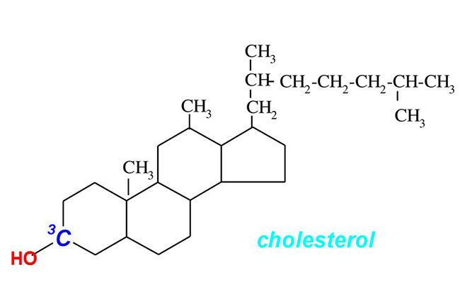 Структурная формула холестерина