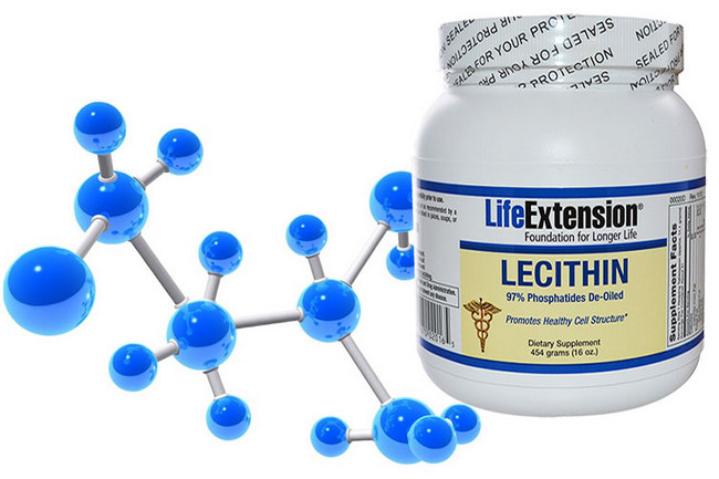 Лецитин — препарат поддерживающий организм во время диет и тренировок